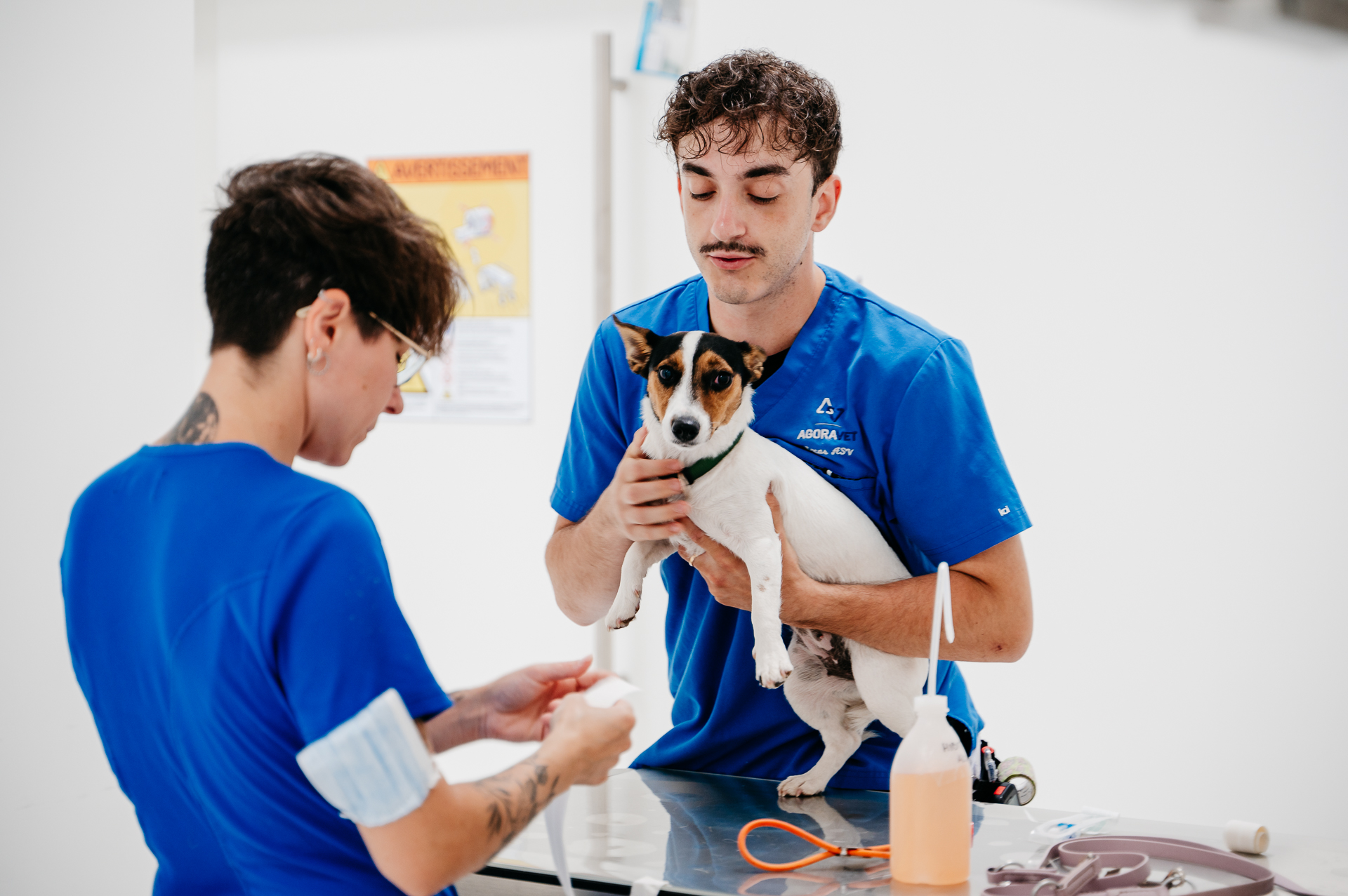 Chiot examiné par deux vétérinaires en blouse bleue.