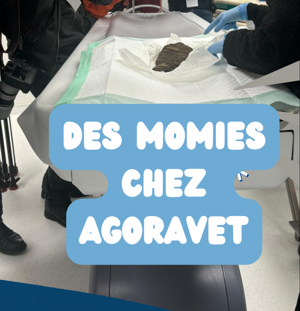 Photographes capturant une momie à Agoravet.