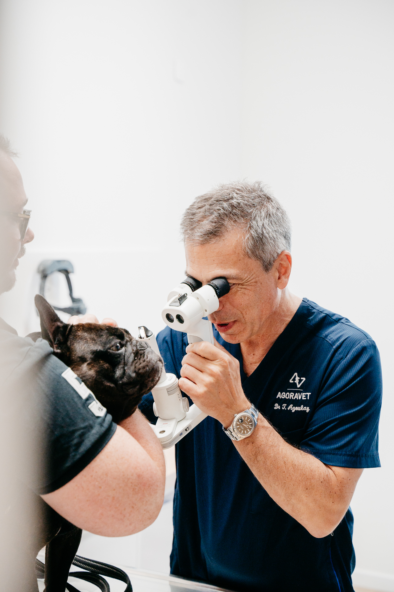 Vétérinaire examine chien avec un appareil médical.