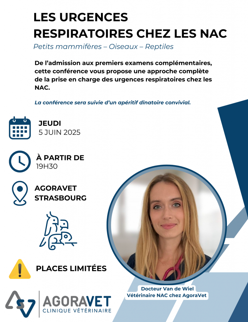 soirée vétérinaire formation sur les NAC chez AgoraVet Strasbourg
