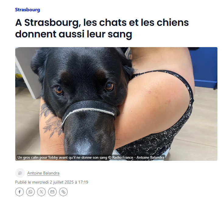 banque de sang don du sang vétérinaire alsace strasbourg agoravet