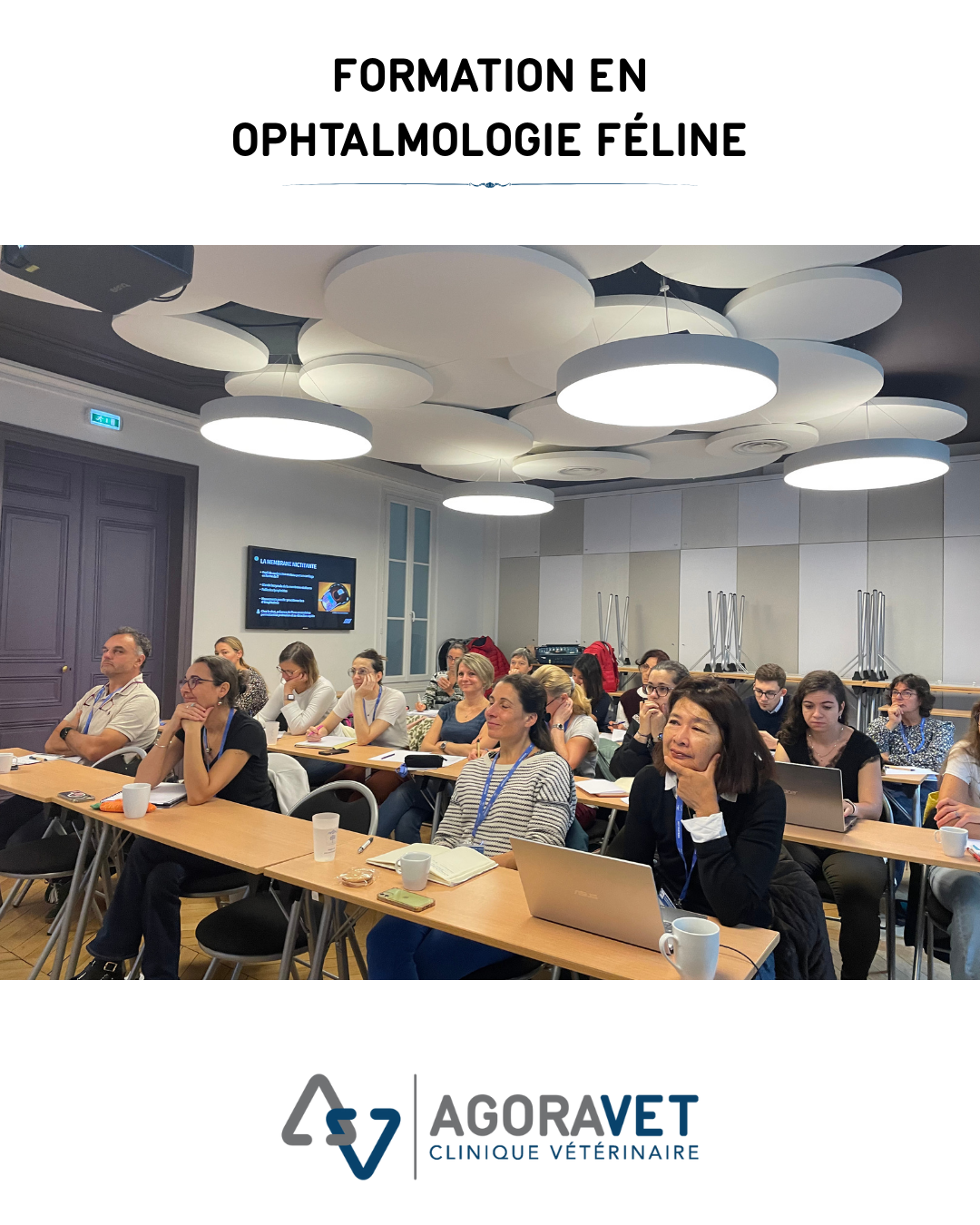 formation vétérinaire ophtalmologie