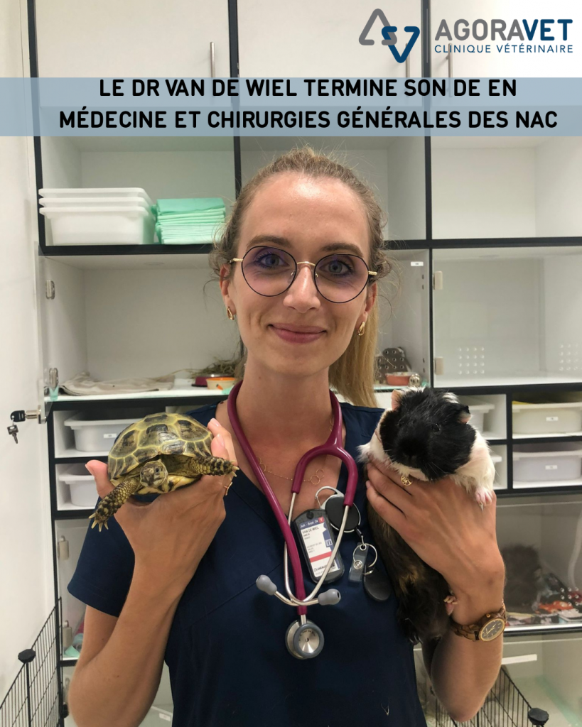 vétérinaire NAC AgoraVet Strasbourg