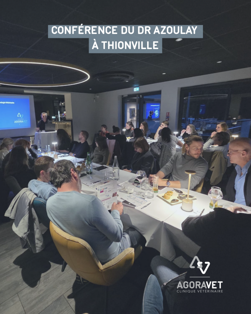 vétérinaire spécialiste en ophtalmologie
